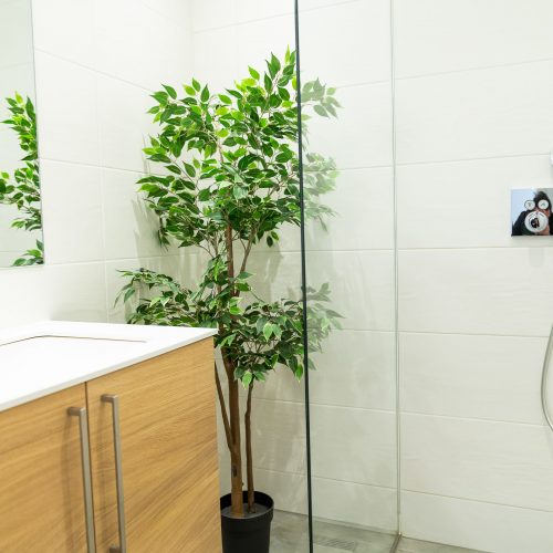 FLOECKNER B&B Bad Regendusche